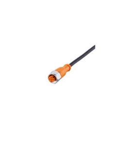 EVM013 | IFM Vietnam