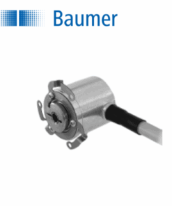 11062237 Baumer Vietnam