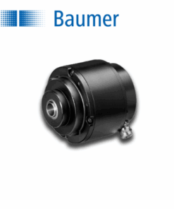 11180893 Baumer Vietnam