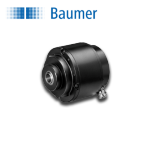 11180893 Baumer Vietnam