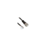 KD U-M12-4A-V1-050 | Leuze Vietnam