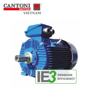 3SIE132S4 Cantoni Motor Vietnam