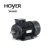 HMA3 132M-4 Hoyer Motor Vietnam