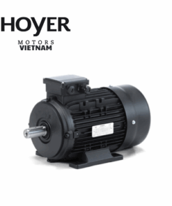 HMA3 132M-4 Hoyer Motor Vietnam