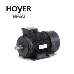 HMA3 132M-4 Hoyer Motor Vietnam