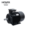 MS 71 3 - 2 pole Hoyer Motor Vietnam