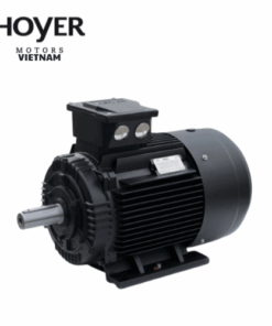 MS 71 3 - 2 pole Hoyer Motor Vietnam