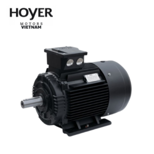 MS 71 3 - 2 pole Hoyer Motor Vietnam