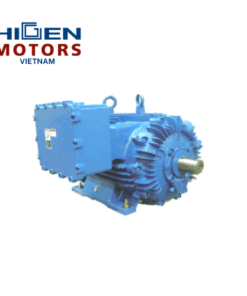 Q100HQ3B2KW Higen Motor Vietnam
