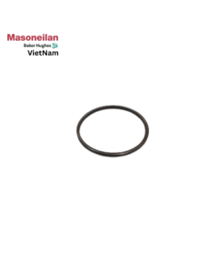 400088312-946-0000 Seal Ring 41K 12' Masoneilan Vietnam