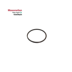400088312-946-0000 Seal Ring 41K 12' Masoneilan Vietnam