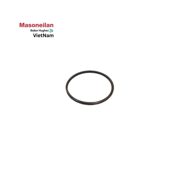 400088312-946-0000 Seal Ring 41K 12' Masoneilan Vietnam