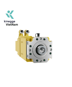 DA99-W25-170-400-L5-C36-D34-R3-B Servo motor electromechanical actuator Kinegge S.r.l Vietnam