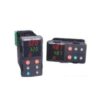 PM8C2EC-ACEAFAA | Watlow Vietnam