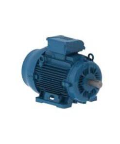 W22 IE3 | WEG Vietnam