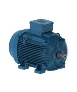 W21-IE3 | WEG Vietnam