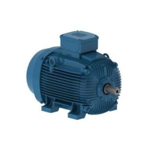 W21-IE3 | WEG Vietnam