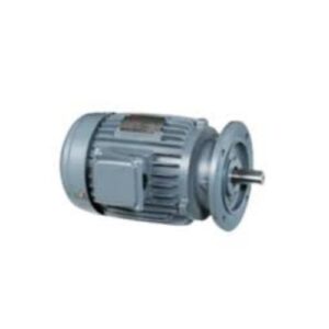 AEVF | Fukuta Vietnam